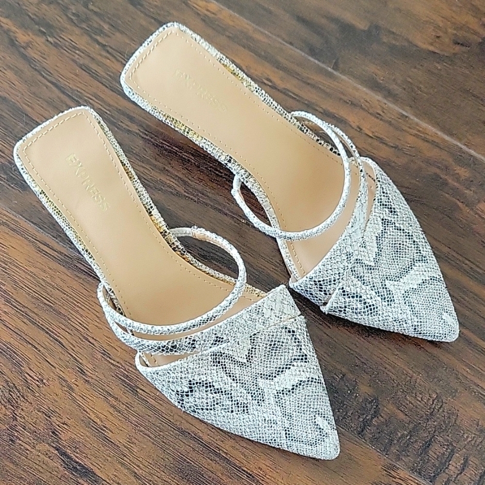 Express Mule